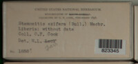 Image Associated With the Occurence